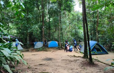 Rimba Camp Site @ Tree Top Walk Sungai Sedim