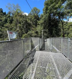 Rimba Camp Site @ Tree Top Walk Sungai Sedim