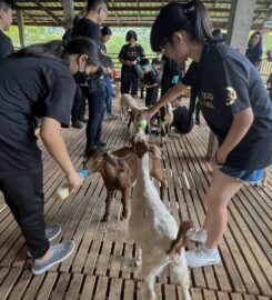 Bentong Happy Farm