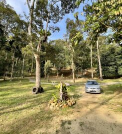 Bamboo King’s Campsite