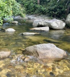 Bamboo King’s Campsite