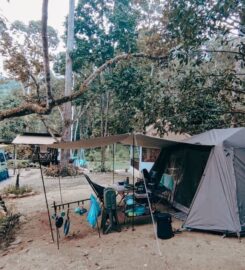 Bamboo King’s Campsite