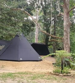 Bamboo King’s Campsite