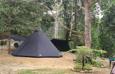 Bamboo King’s Campsite