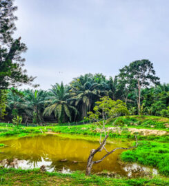 Bemban Cottage