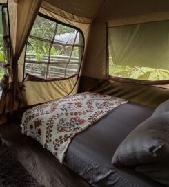 Hammocks By The River, Hulu Langat