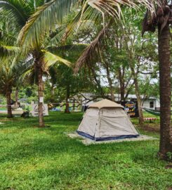 Coconut Orchard Campsite & Chalet