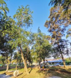 Coconut Orchard Campsite & Chalet