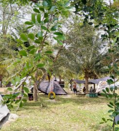 Coconut Orchard Campsite & Chalet