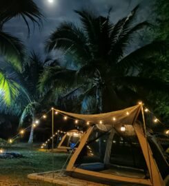 Coconut Orchard Campsite & Chalet