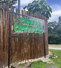 GREEN Creepers Campsite, Gopeng