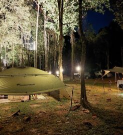 Forest 8 Senses Campsite