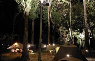 Forest 8 Senses Campsite