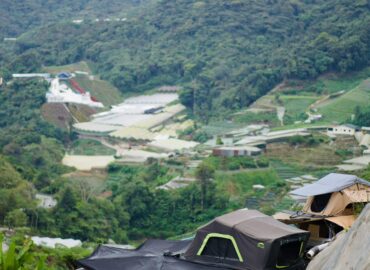 Cameron Highlands Blueberry Earth House Resort