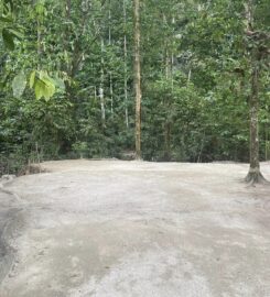 Ecotree Camp, Semungkis