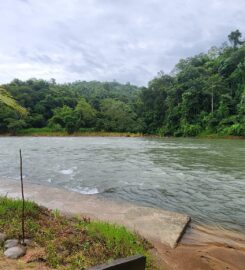 Disan Baang Kiulu, Sabah