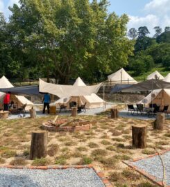 The Survivor Camp & Glamp @ Starfresh Agropark