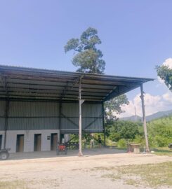 Bentong Fruits Farm Hot Spring Campsite