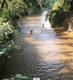 Dusun Tok Pa, Slim River