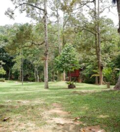 Jungle & Zen Campsite, Bentong