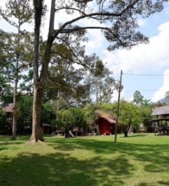 Jungle & Zen Campsite, Bentong