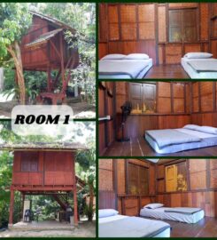 Jungle & Zen Campsite, Bentong