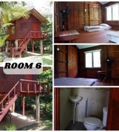 Jungle & Zen Campsite, Bentong