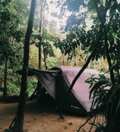 Lata Beringin Campsite, Hulu Langat