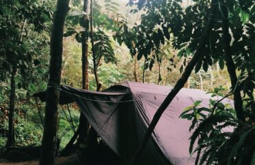 Lata Beringin Campsite, Hulu Langat