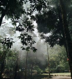 Lata Beringin Campsite, Hulu Langat