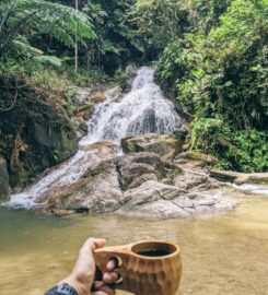 Lata Beringin Campsite, Hulu Langat