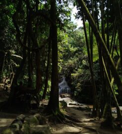 Lata Beringin Campsite, Hulu Langat