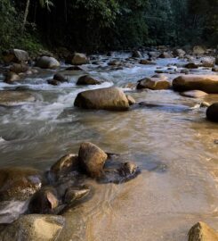 Pangkin Campsite Janda Baik