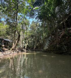 Tupai Emas Campsite, Batang Kali