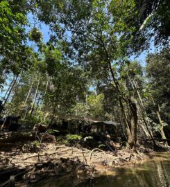 Tupai Emas Campsite, Batang Kali