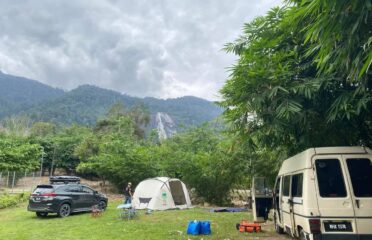 Jelawang Agrofarm, Dabong