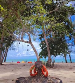 Aliyya Beachfront Campsite