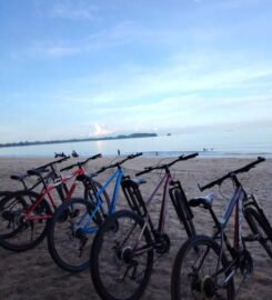 Aliyya Beachfront Campsite