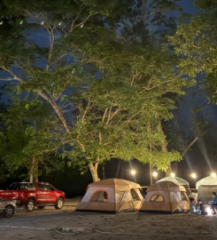 Conway Cove Campsite