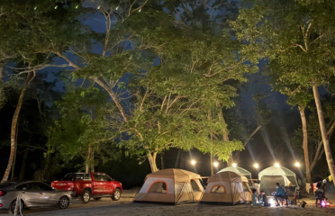 Conway Cove Campsite