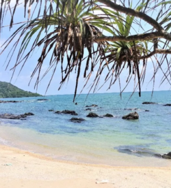 Conway Cove Campsite