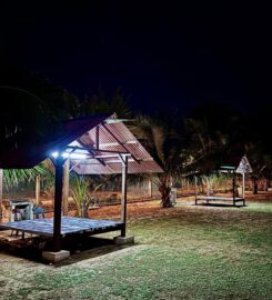 D'Zaitun Guesthouse & Campsite