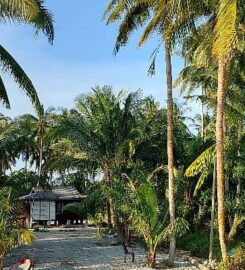 Suri Homestay & Campsite