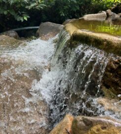 Jerai Nature Glamping
