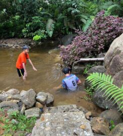 Jerai Nature Glamping