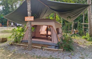 Mai Dusun Retreat